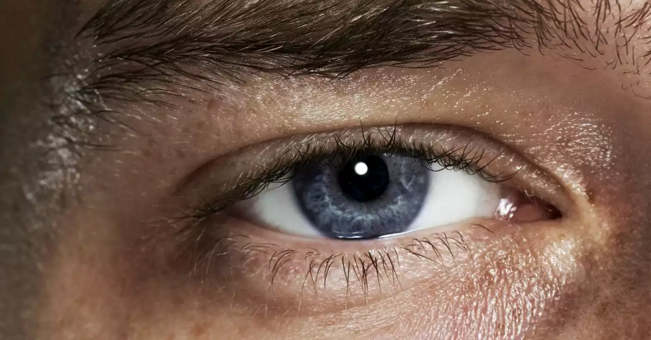 How to Use Your Smartphone to Counteract Vision Loss