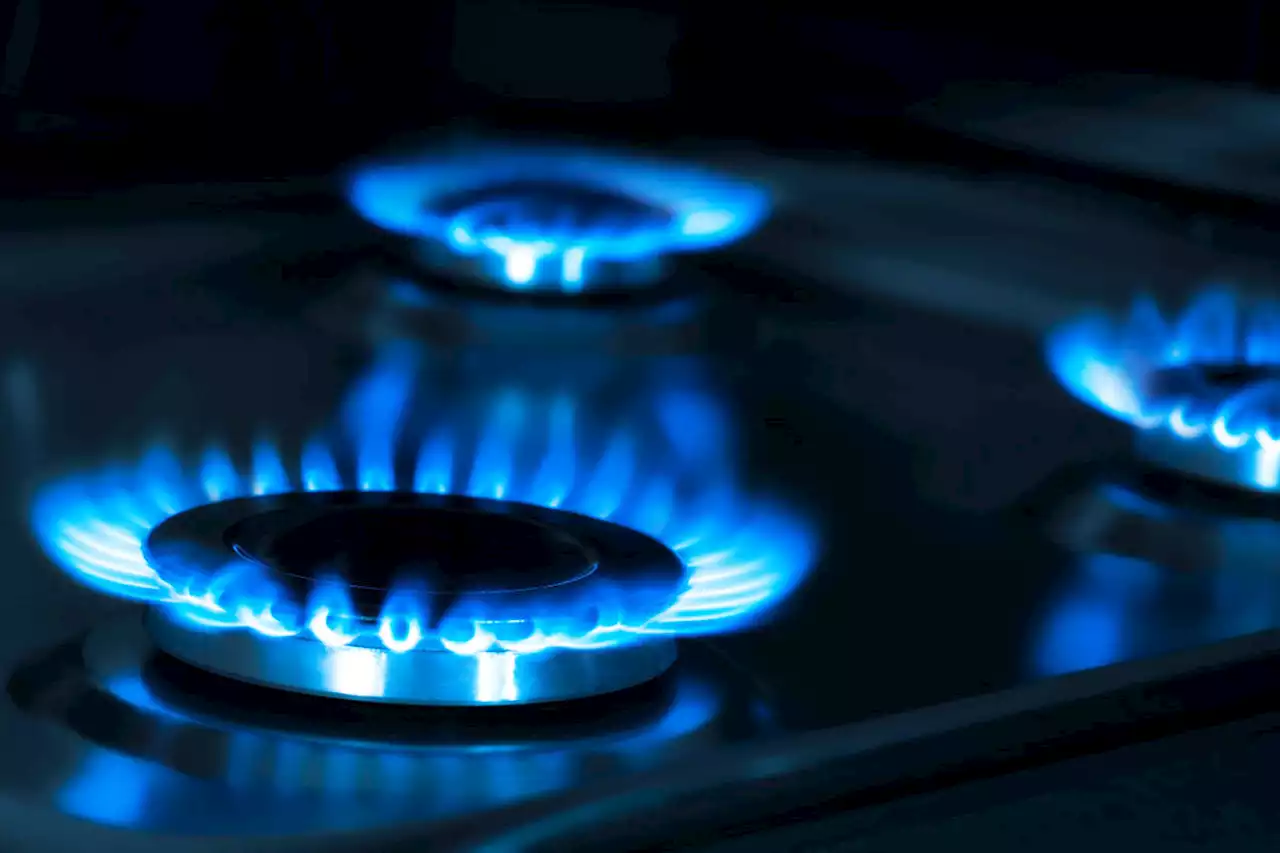 Gas stove debate reignites as Energy Department proposes new standards