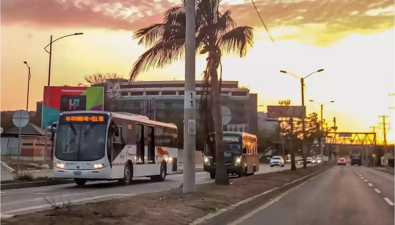 Transporte público en Carnaval, las rutas de Transmetro y las medidas de tránsito