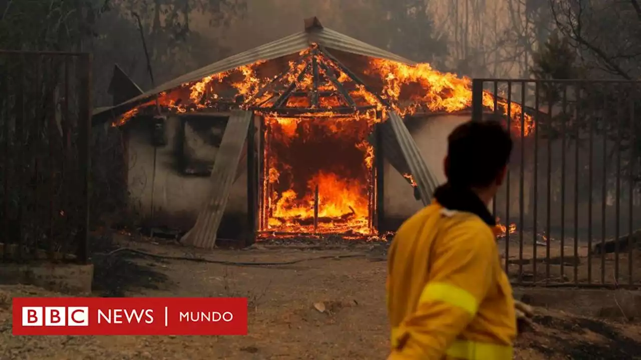 Los voraces incendios forestales en Chile dejan al menos 13 muertos y miles de hectáreas de bosque destruidas - BBC News Mundo