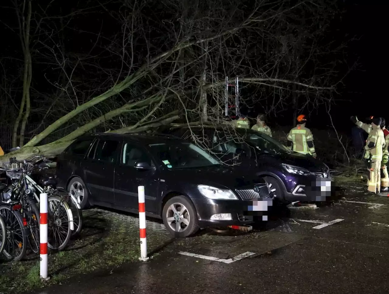 Sturm in Berlin: Baum kracht auf Autos, Wahlplakate umgeweht