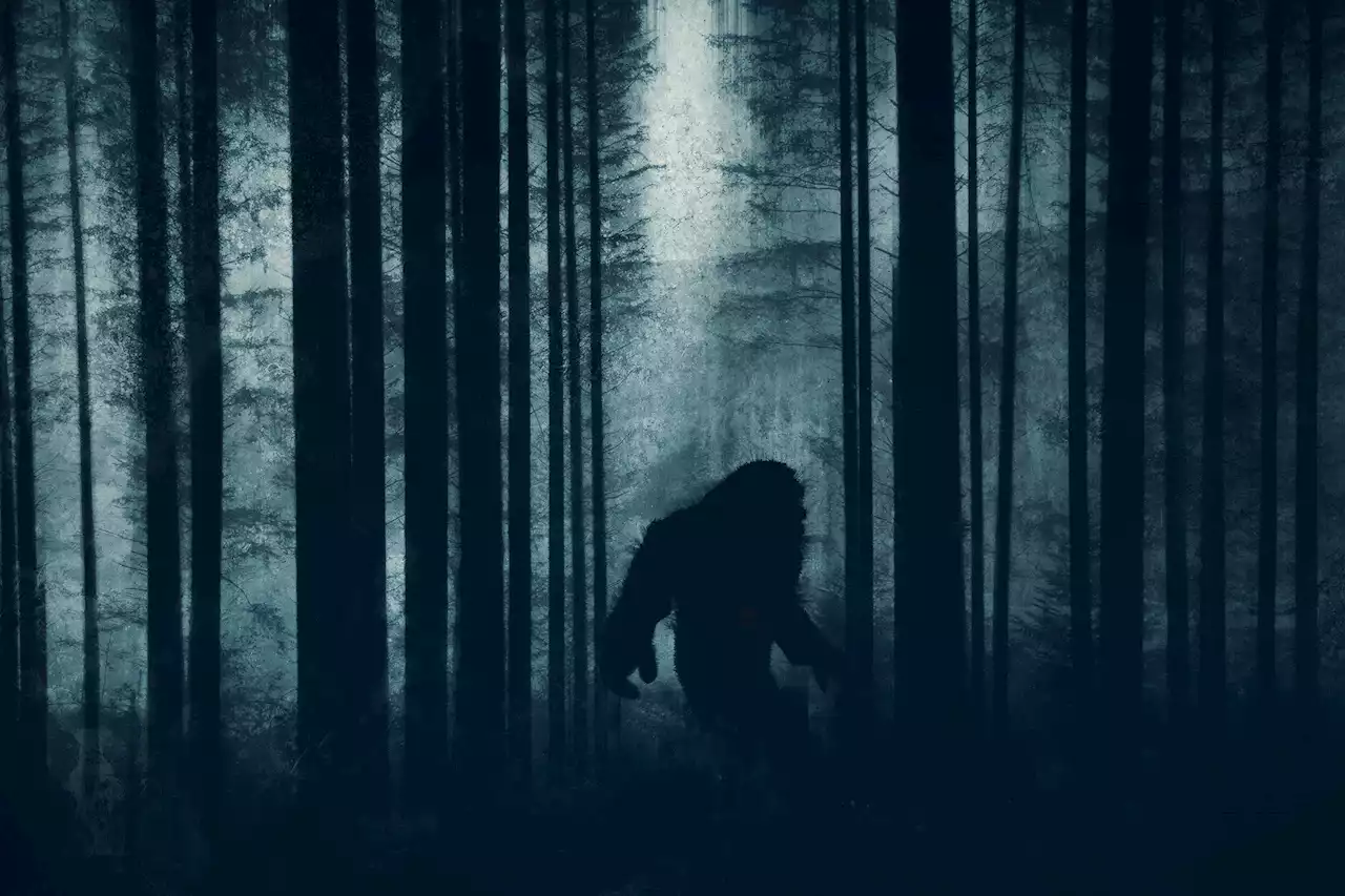 Scientists say Bigfoot has a simple explanation