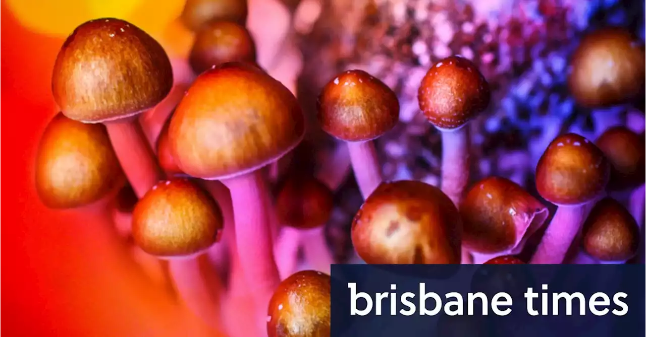 Australia becomes first country to recognise psychedelics as medicines