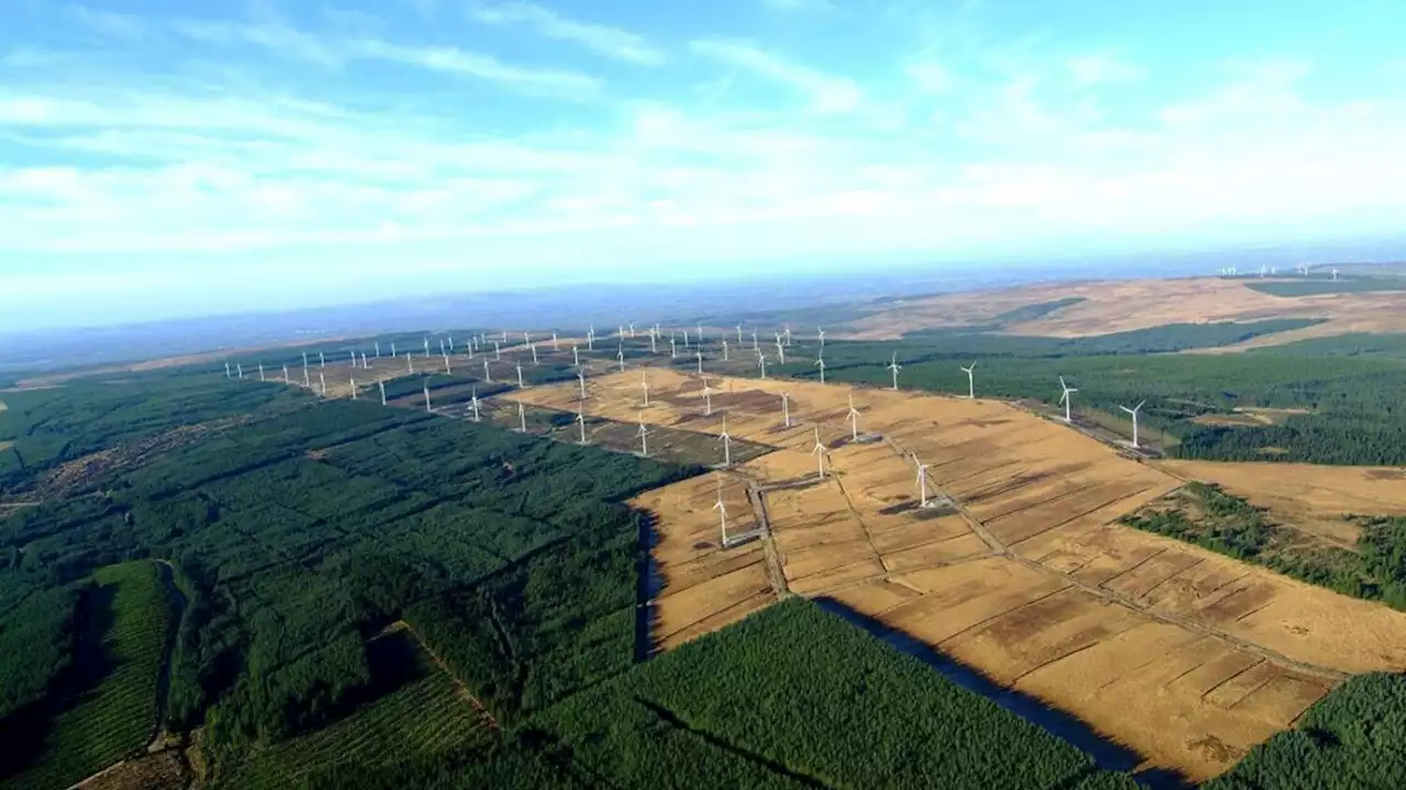 EU ends daily €15,000 fines as controversial Galway windfarm Derrybrien shuts