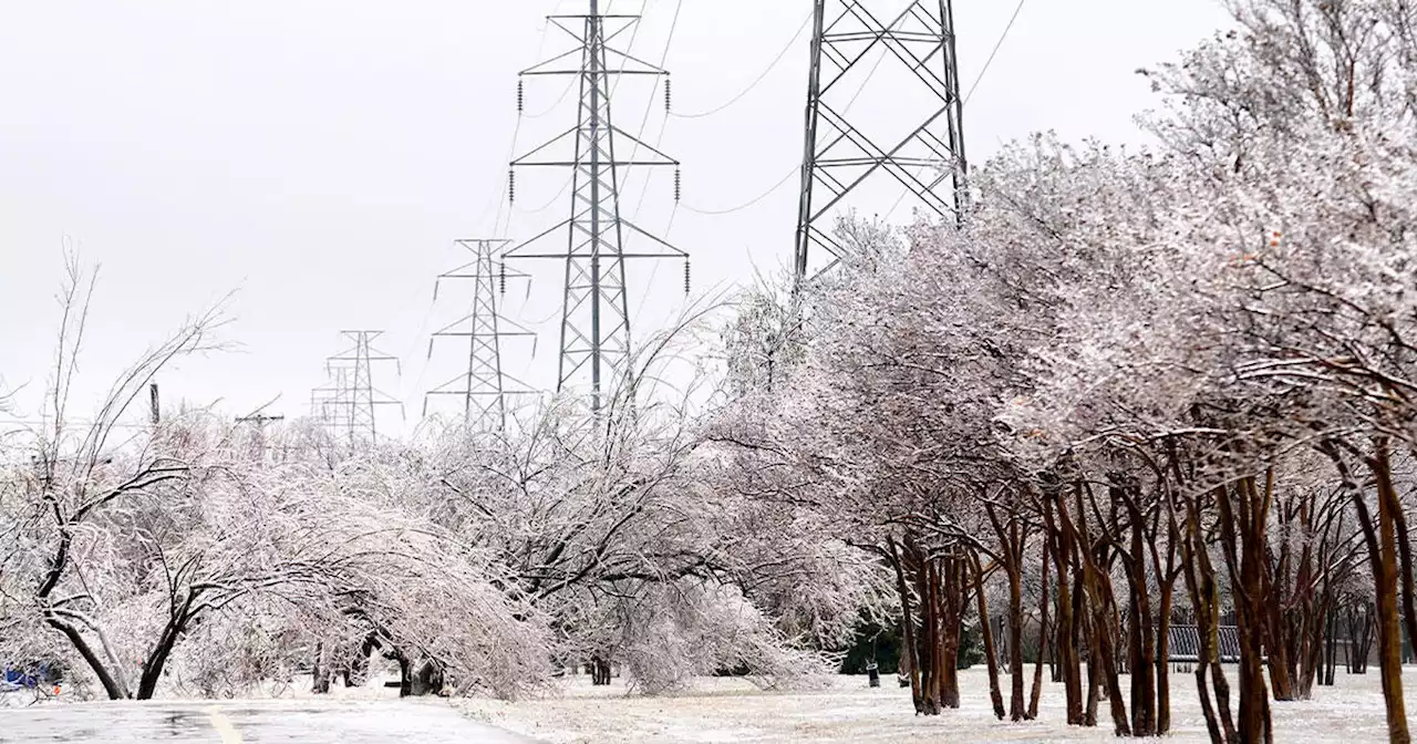 Austin mayor apologizes as city struggles to restore power