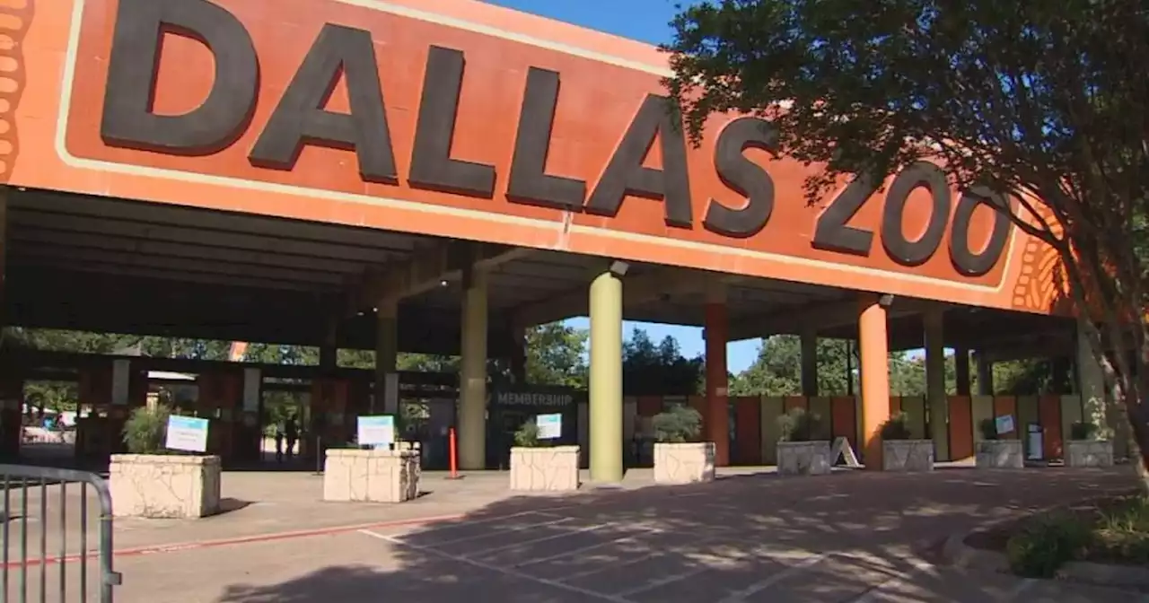 Texas zoo inspections reveal incidents involving animal treatment, escapes, deaths