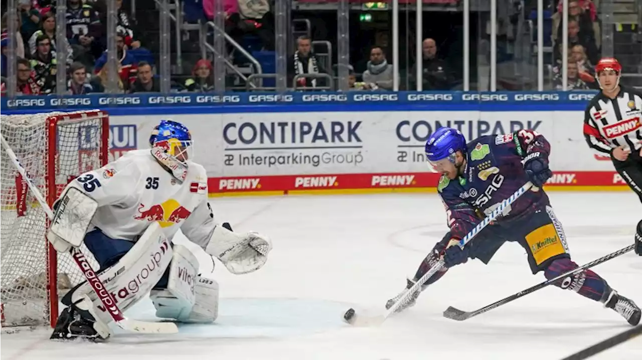 Die Eisbären Berlin sind zurück im schlechten Lauf