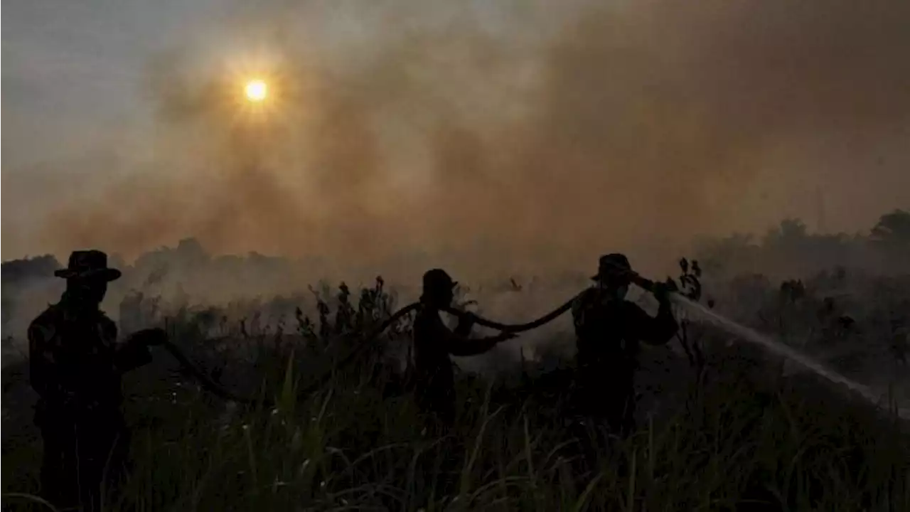 Ada Penampakan Makhluk Misterius di Sumatra, Mirip Manusia