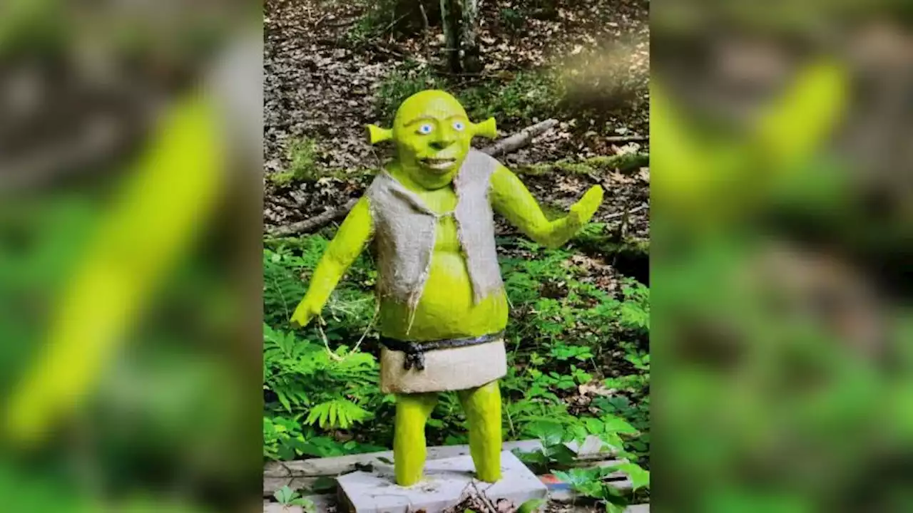 Policía de Massachusetts busca una estatua de Shrek de 90 kilos que fue robada