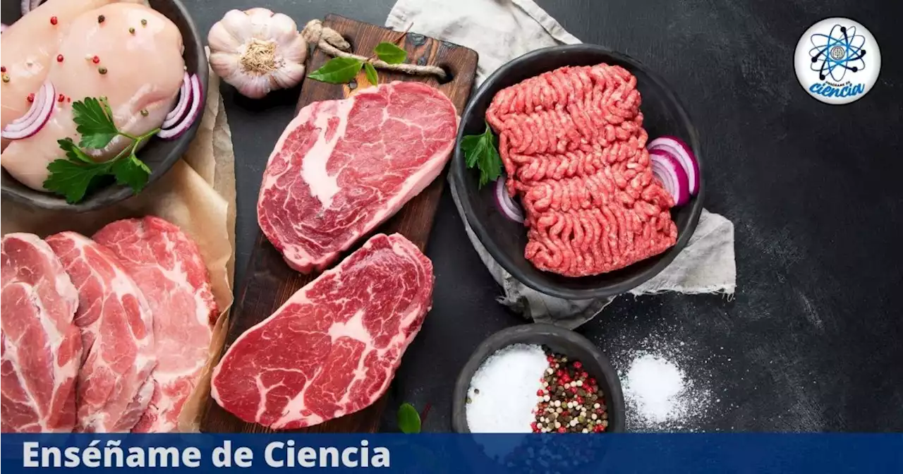 El truco que la ciencia recomienda para conservar la carne por más tiempo