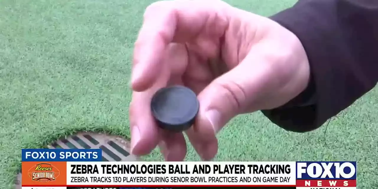 How Zebra Technologies uses player and ball tracking to evaluate player performance