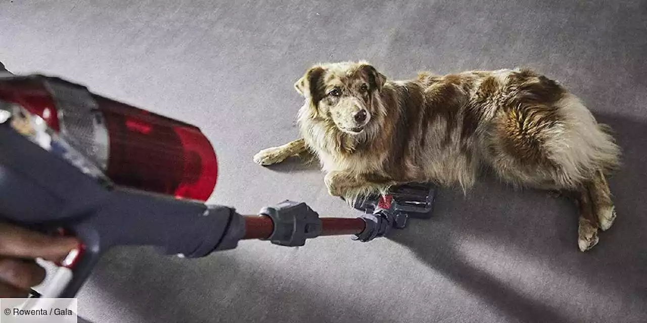 Cet aspirateur-balai Rowenta s'arrache ce week-end chez Amazon (et son prix n'y est pas pour rien) - Gala