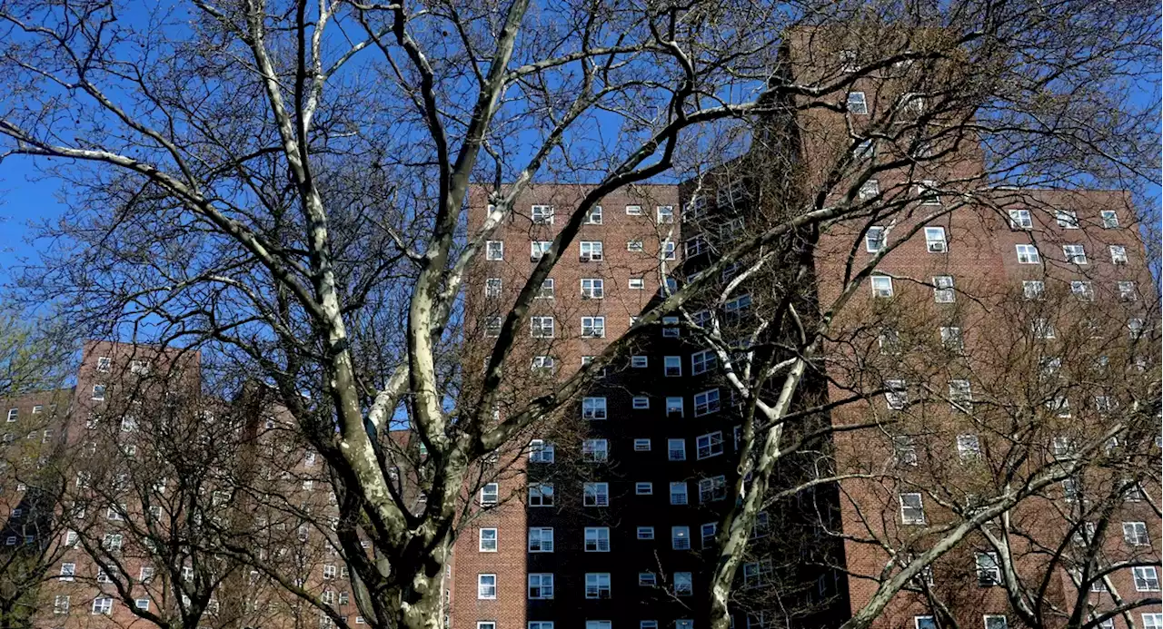 NYC swaps co-op for Big Internet providers at Bronx NYCHA complex, citing 'legal dispute'