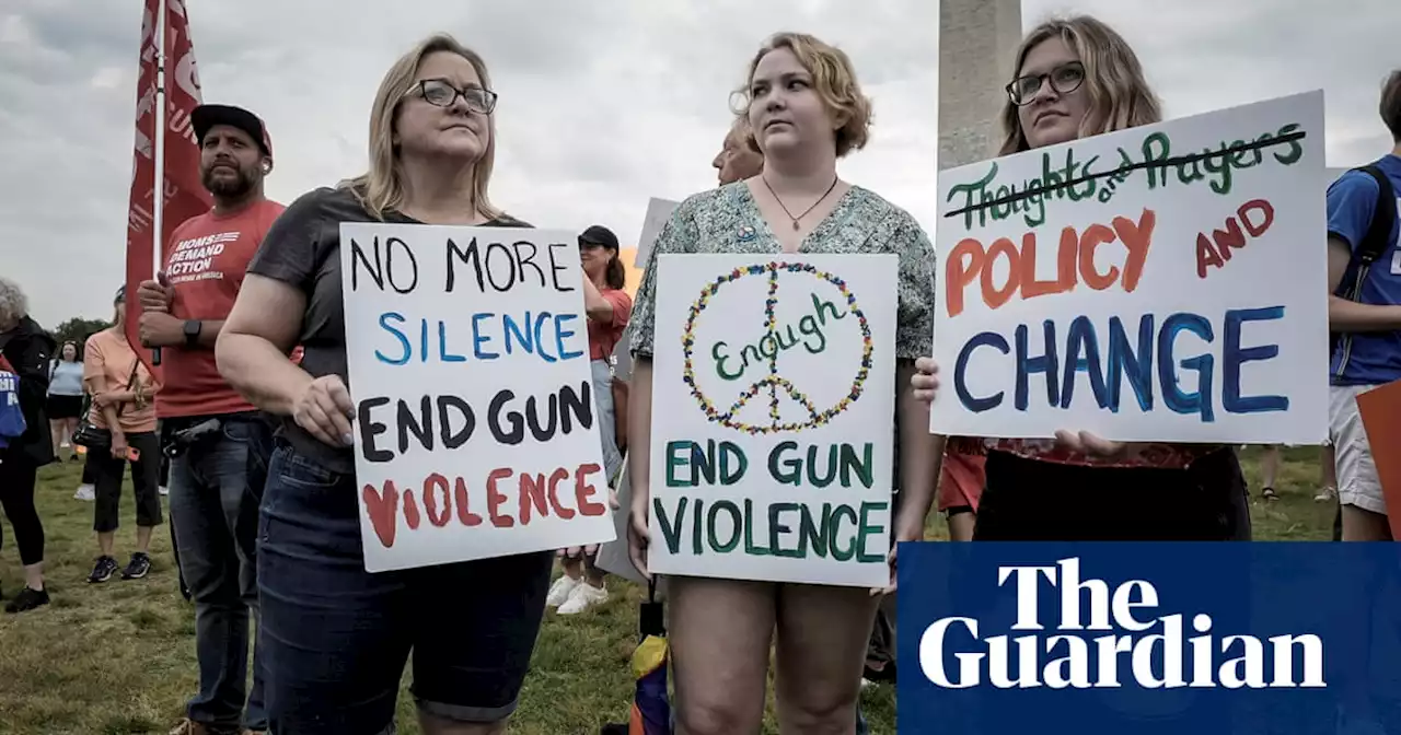 People with domestic violence orders can own guns, US appeals court says