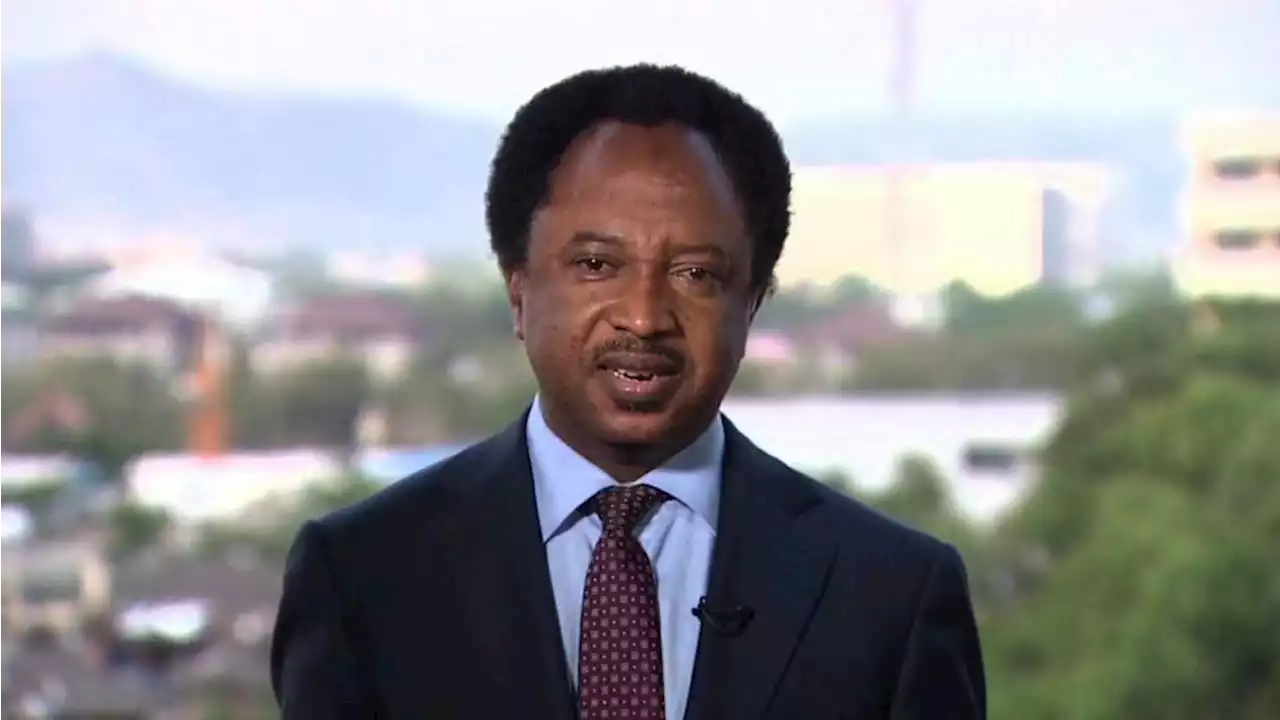 Shehu Sani, Nwodo differ on currency swap policy | The Guardian Nigeria News - Nigeria and World News