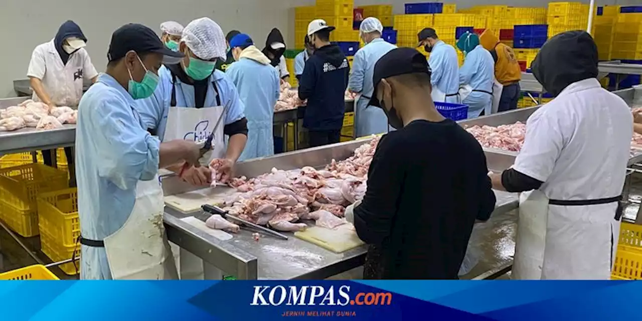 Danamas Jalin Kemitraan dengan Peternak Ayam