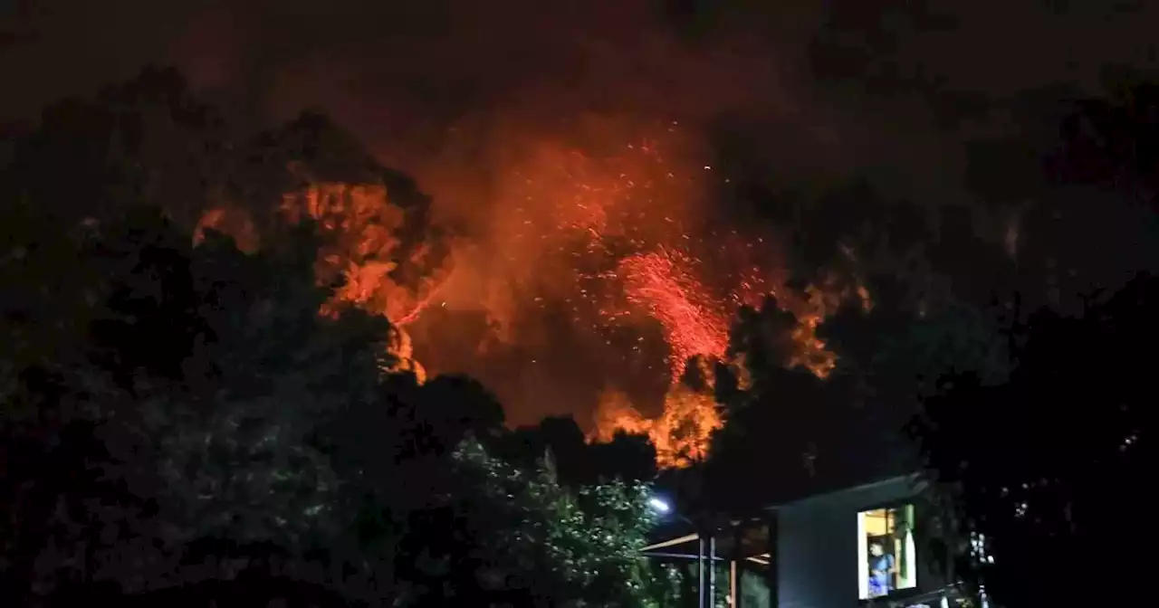 Van 15 muertos por incendios forestales en Chile