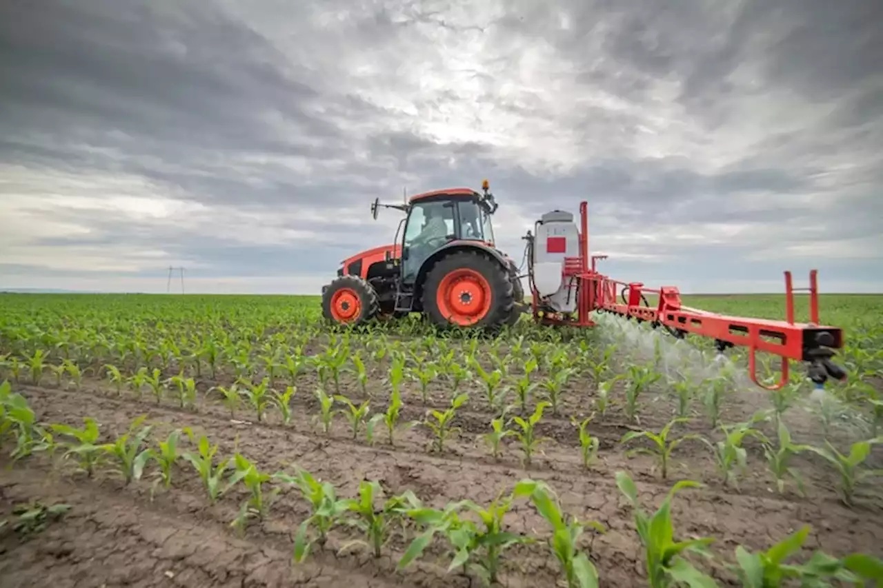 Por efecto de la sequía, las importaciones de urea cayeron un 42% durante 2022