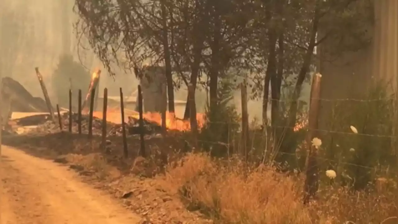 Virulentos incendios en Chile dejan 12 personas fallecidas