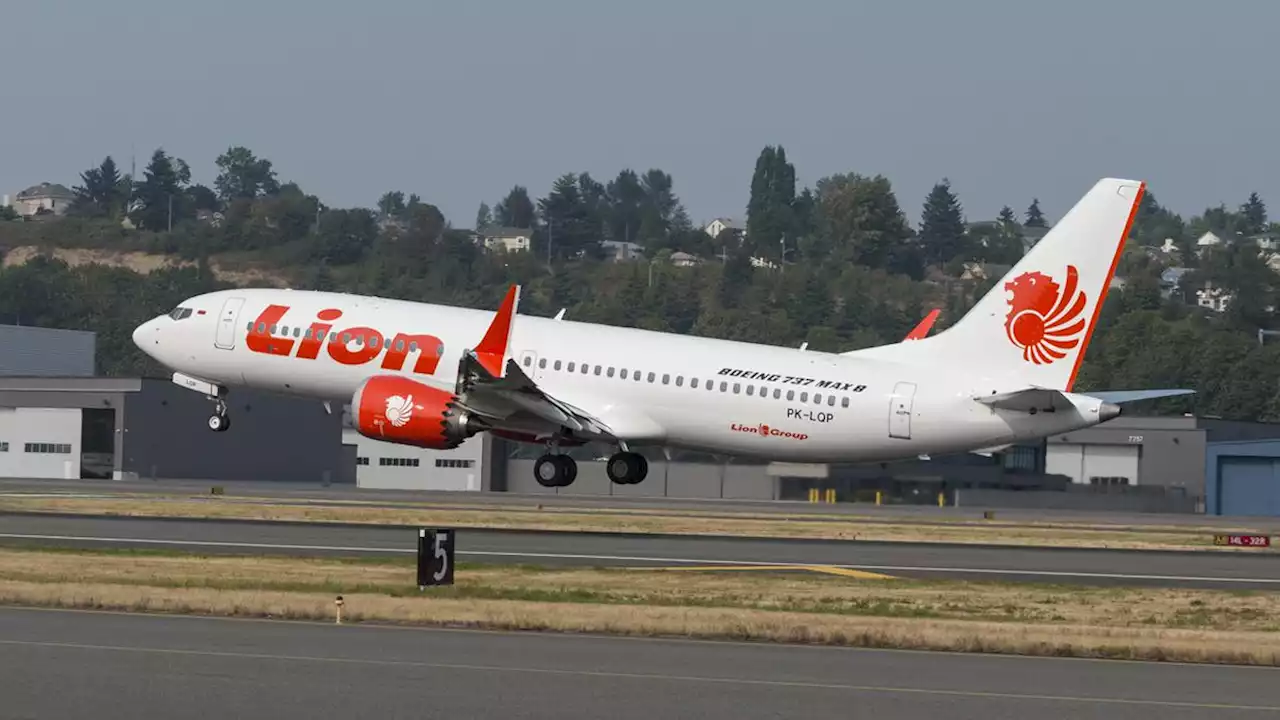 Deretan Hal Viral yang Dialami Maskapai Grup Lion Air