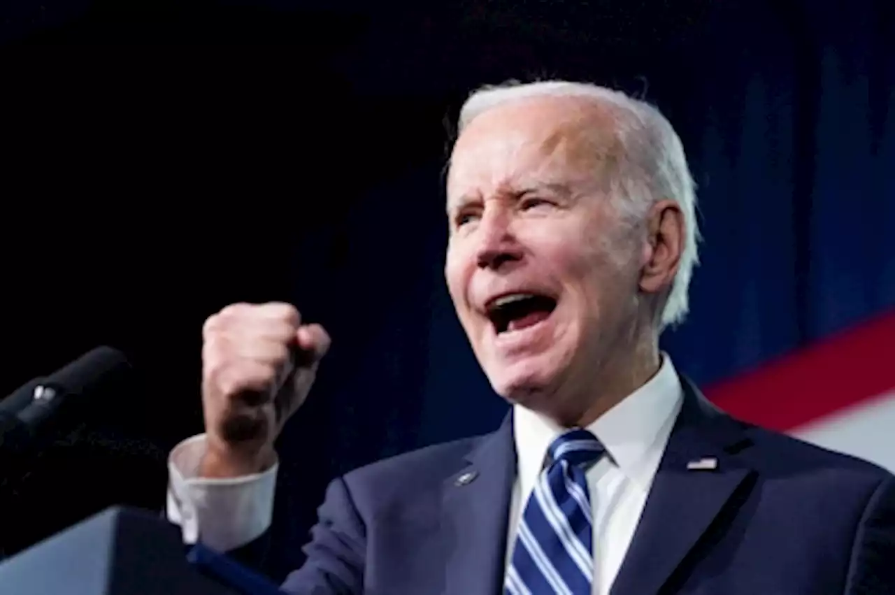 'Four more years': Democratic loyalists embrace Biden 2024 plan