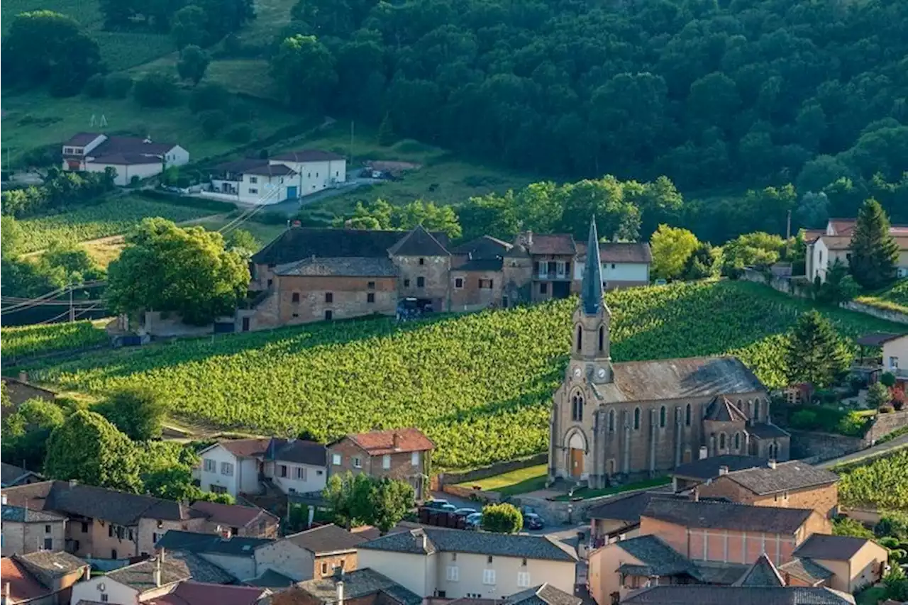 Premier cru : le Tournant de Pouilly, chef-d’œuvre du Bourgogne blanc