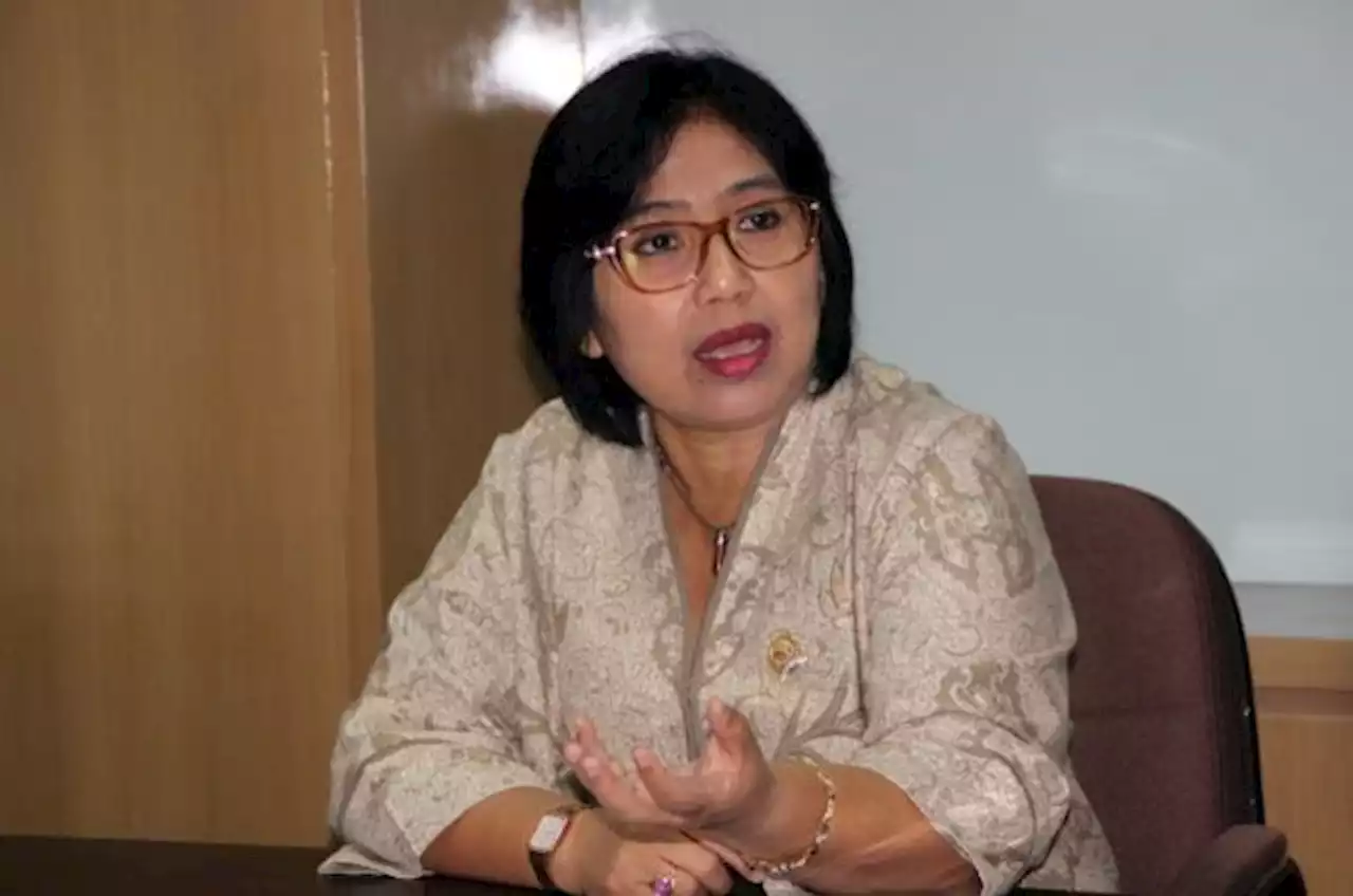 Irma Chaniago: DPR Pertanyakan Pemerintah Soal Tambang Harita Nikel di Pulau Obi