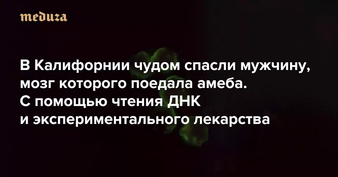 В Калифорнии чудом спасли мужчину, мозг которого поедала амеба Несмотря на 90% летальность подобных случаев, победить инфекцию удалось — с помощью чтения ДНК и экспериментального лекарства — Meduza