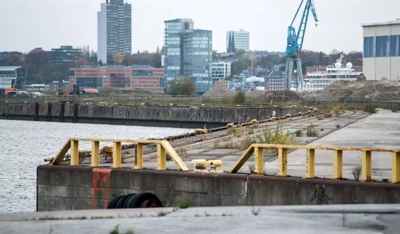 30 Hektar extra: So soll der Hamburger Hafen noch größer werden