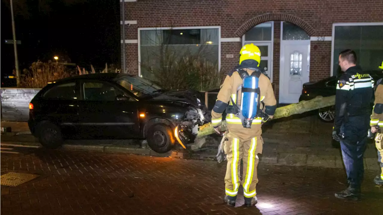 Vrouw crasht tegen boom in Velsen-Noord tijdens achtervolging