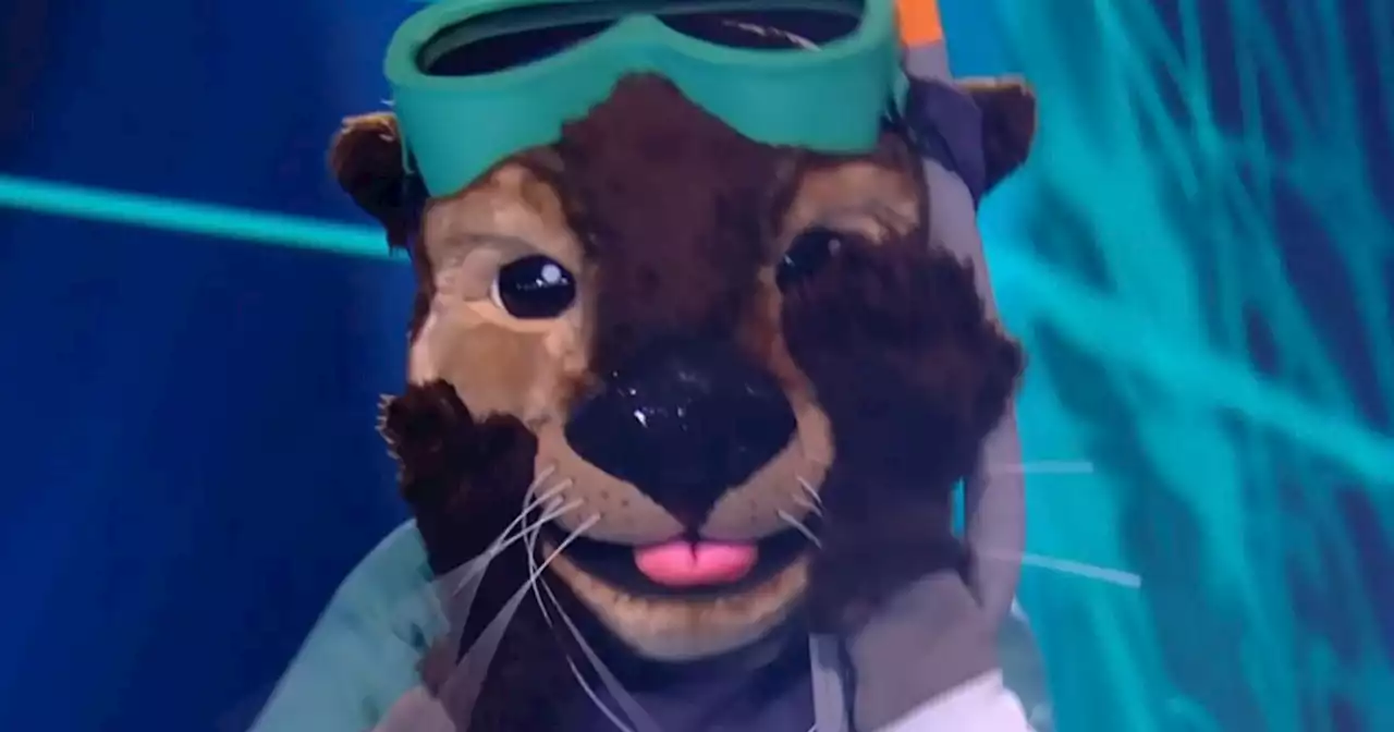 The Masked Singer's Otter unveiled as comedy star ahead of semi-final