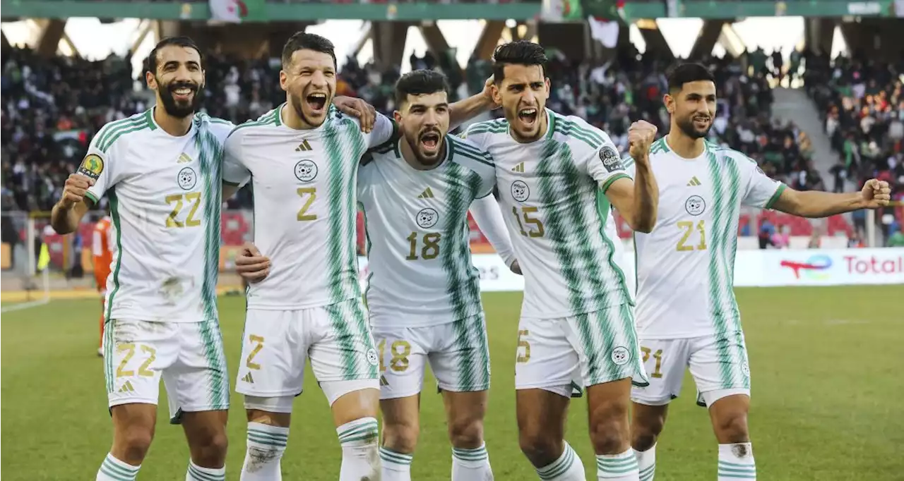 🚨 Algérie – Sénégal : les compos de la finale du CHAN !