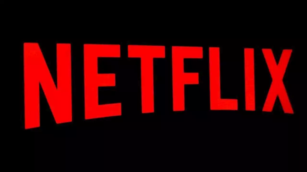 Netflix' aktuell beste Show: Neues zum Account-Sharing