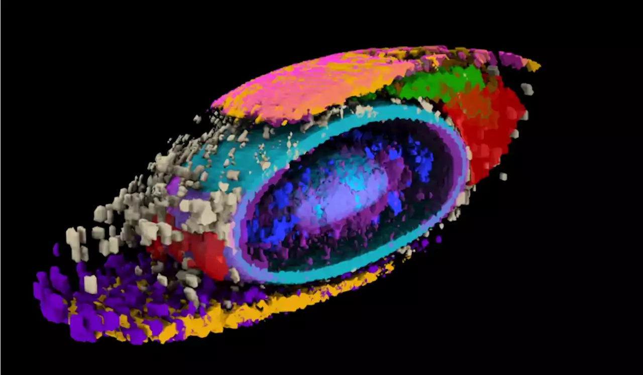 Exploring the Inner Workings of Human Cells – Database of 200,000 Cell Images Yields New Mathematical Framework