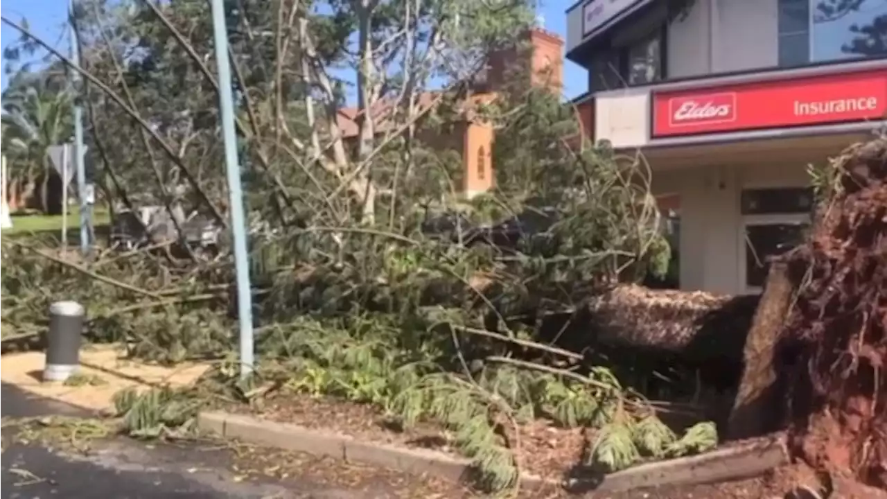 Residents begin big clean up after freak 'mini cyclone' slams coastal town