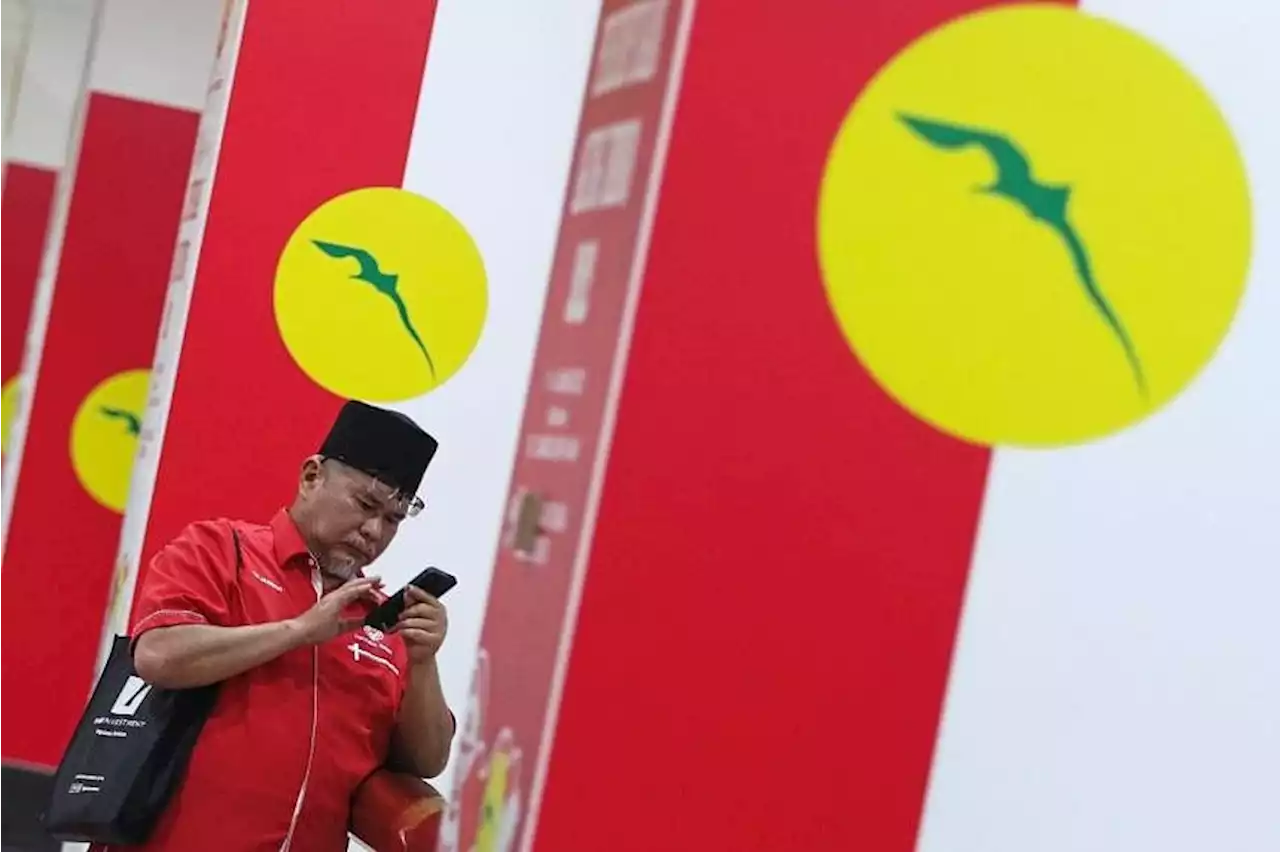 Umno bigwigs eye three vice-president posts as internal elections begin