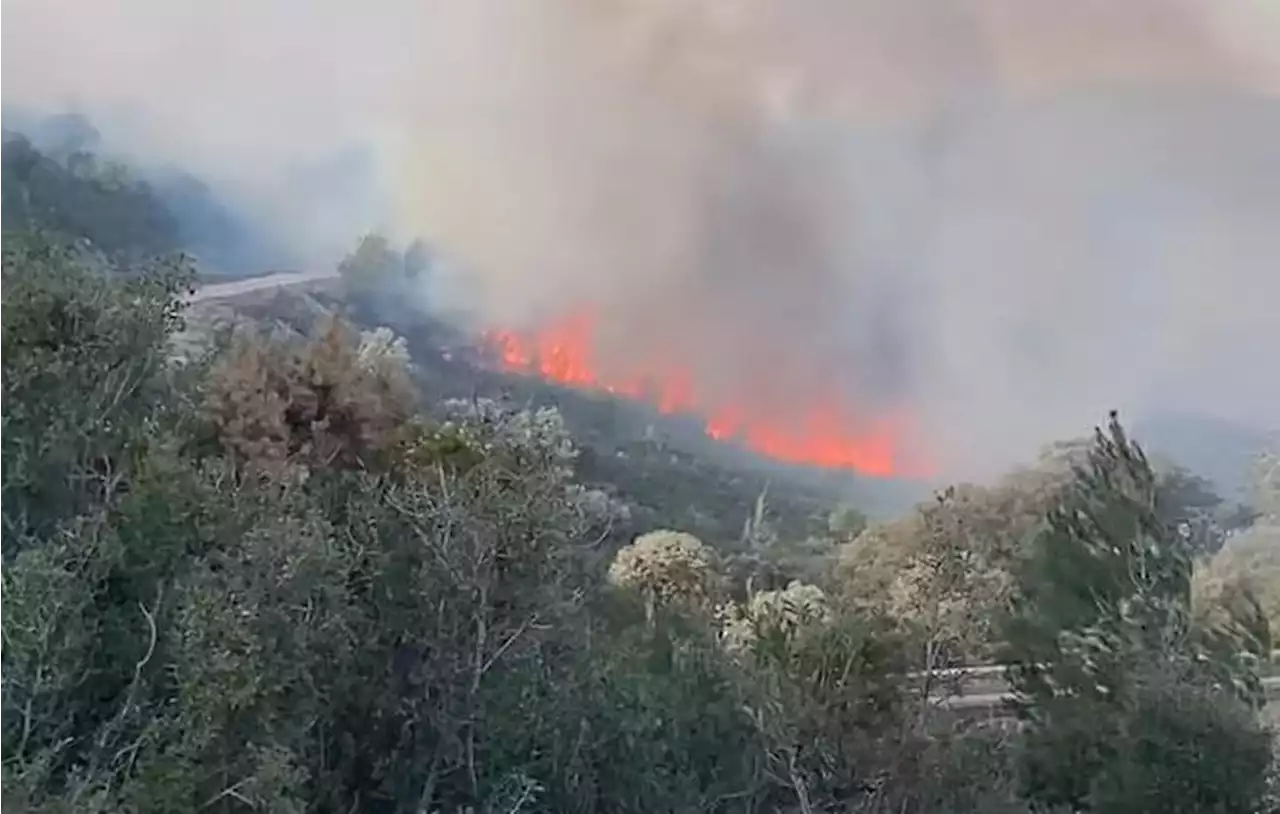 Provence : incendie dans le massif des Alpilles, quelque 130 hectares de végétation dévorés