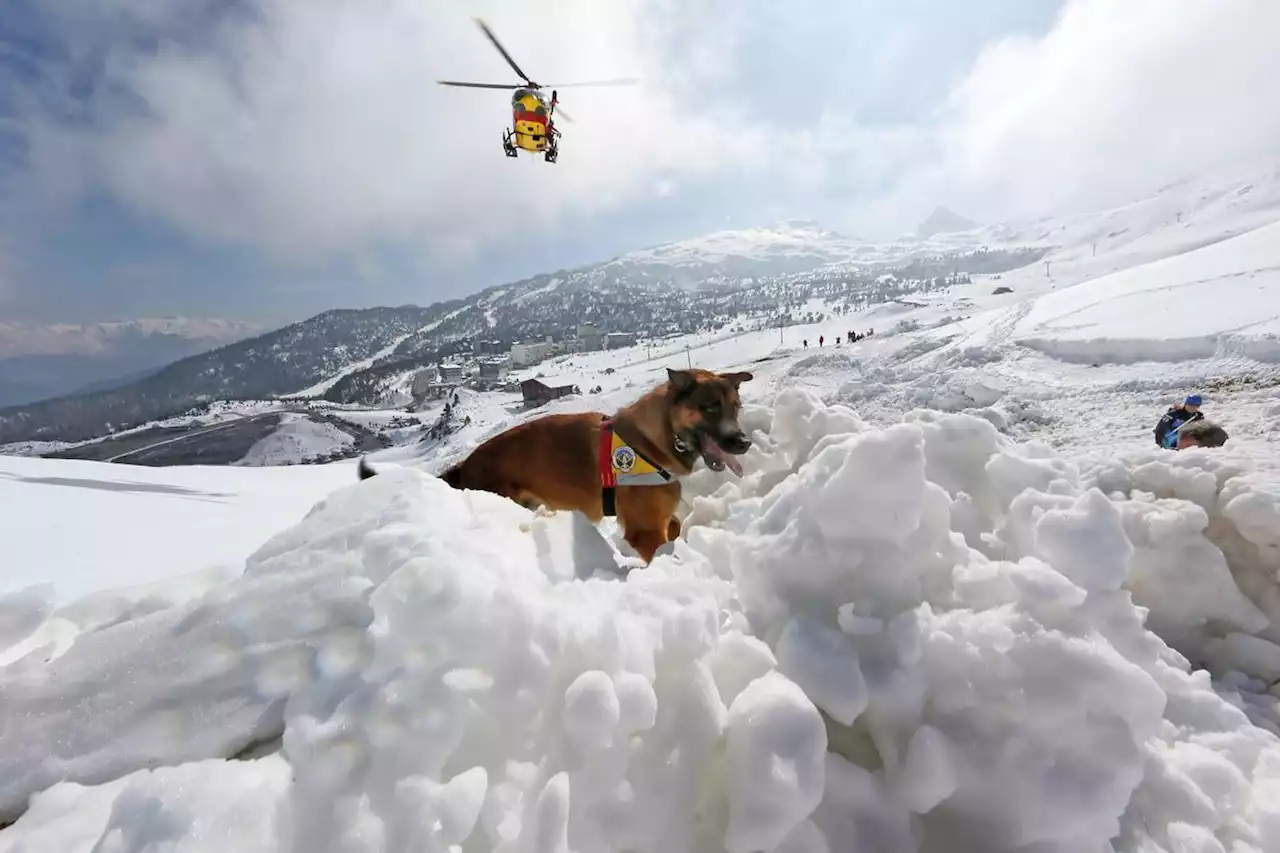 Trois morts dans des avalanches en Autriche