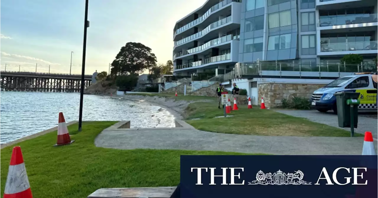 Teenage girl killed in shark attack in Perth’s Swan River