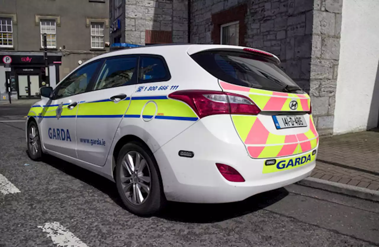 Gardaí seize six dogs in Sligo in joint operation with ISPCA