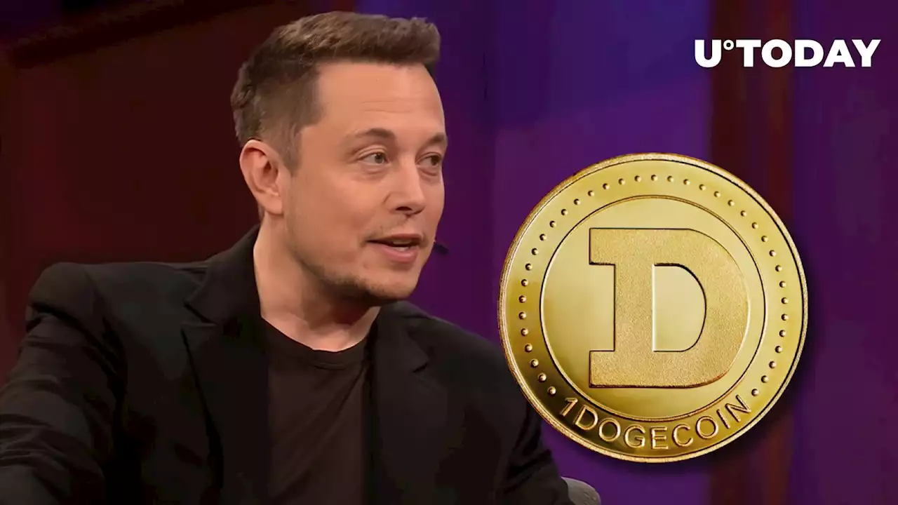 Dogecoin (DOGE) Trading Volume Spikes on Elon Musk's Recent '420 Tesla' News