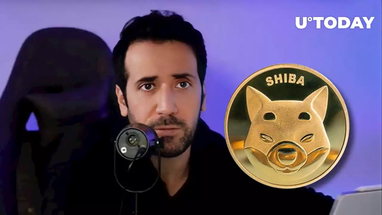 When Shiba Inu (SHIB) Moves, Other Top Meme Coins Start Moving: David Gokhshtein