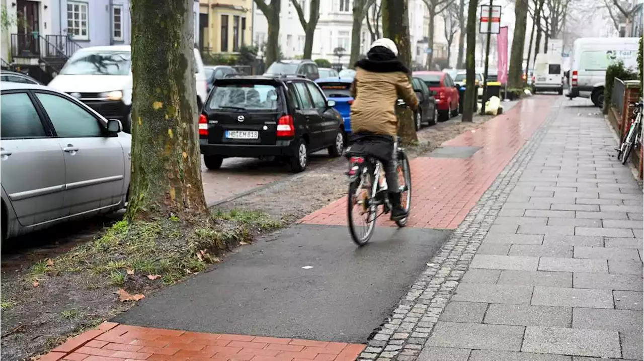 was in bremen gegen wurzelschäden an radwegen getan wird