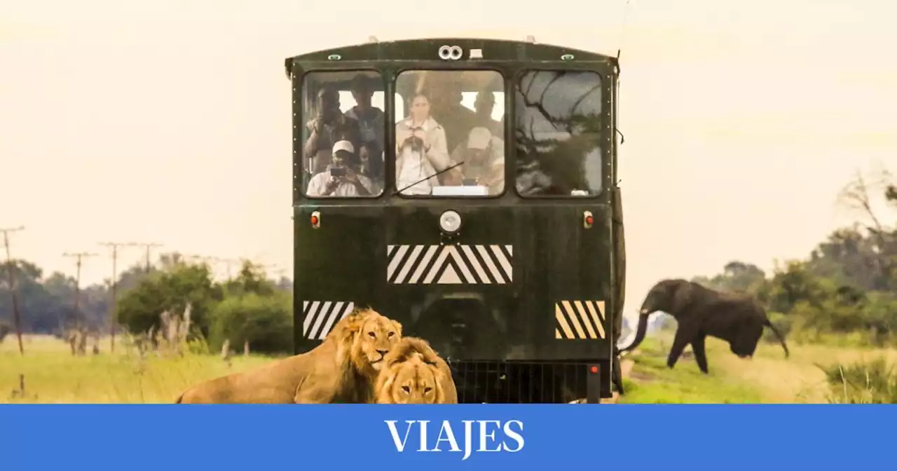 'Elephant Express', el increíble tren safari que recorre 80 kilómetros por Zimbabue