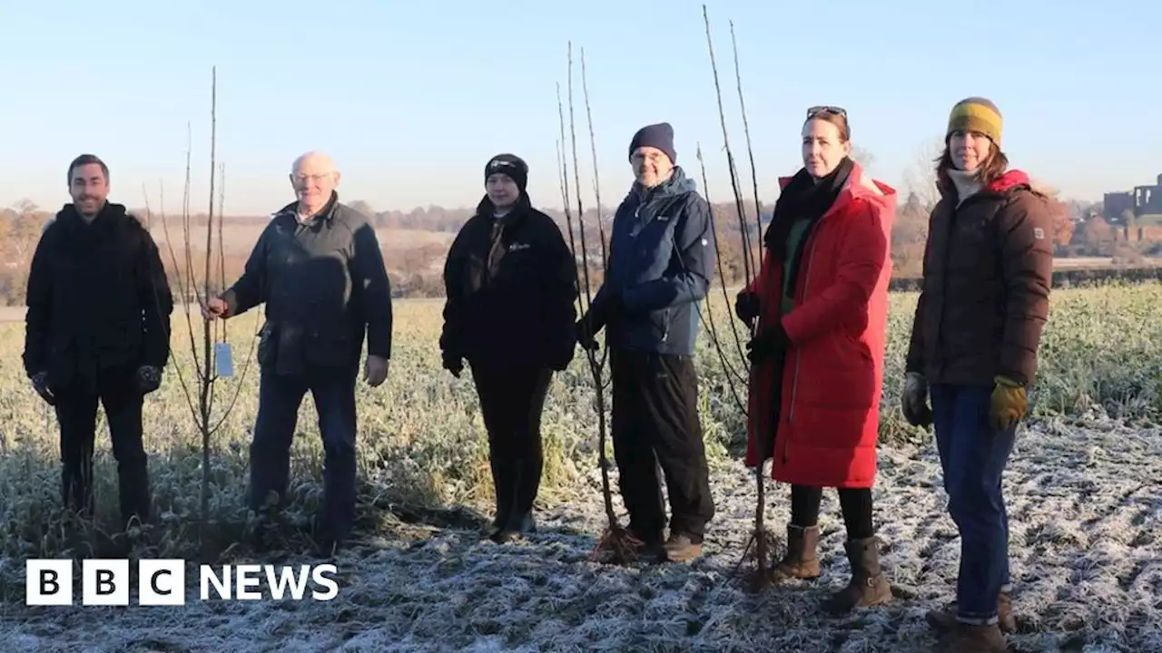 Warwick Council joins farmers to plant trees in their thousands