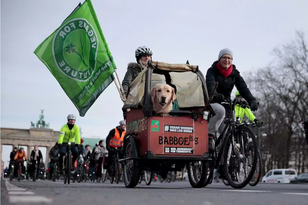 Hunderte protestieren bei Fahrrad-Demo quer durch Berlin