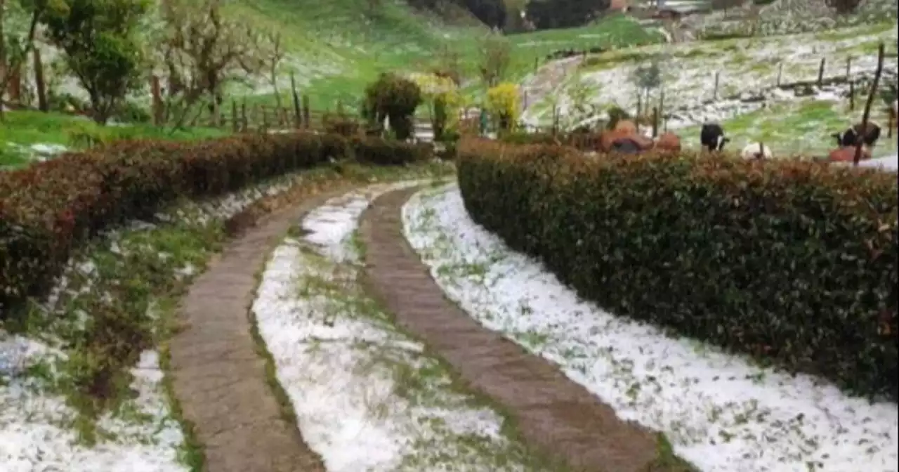 Campesinos del norte de Antioquia reportan daños en sus cultivos tras fuerte granizada