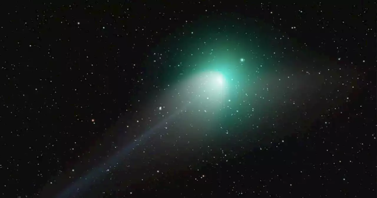 Rare green comet to be visible from Mzansi next week, SA share funny comments