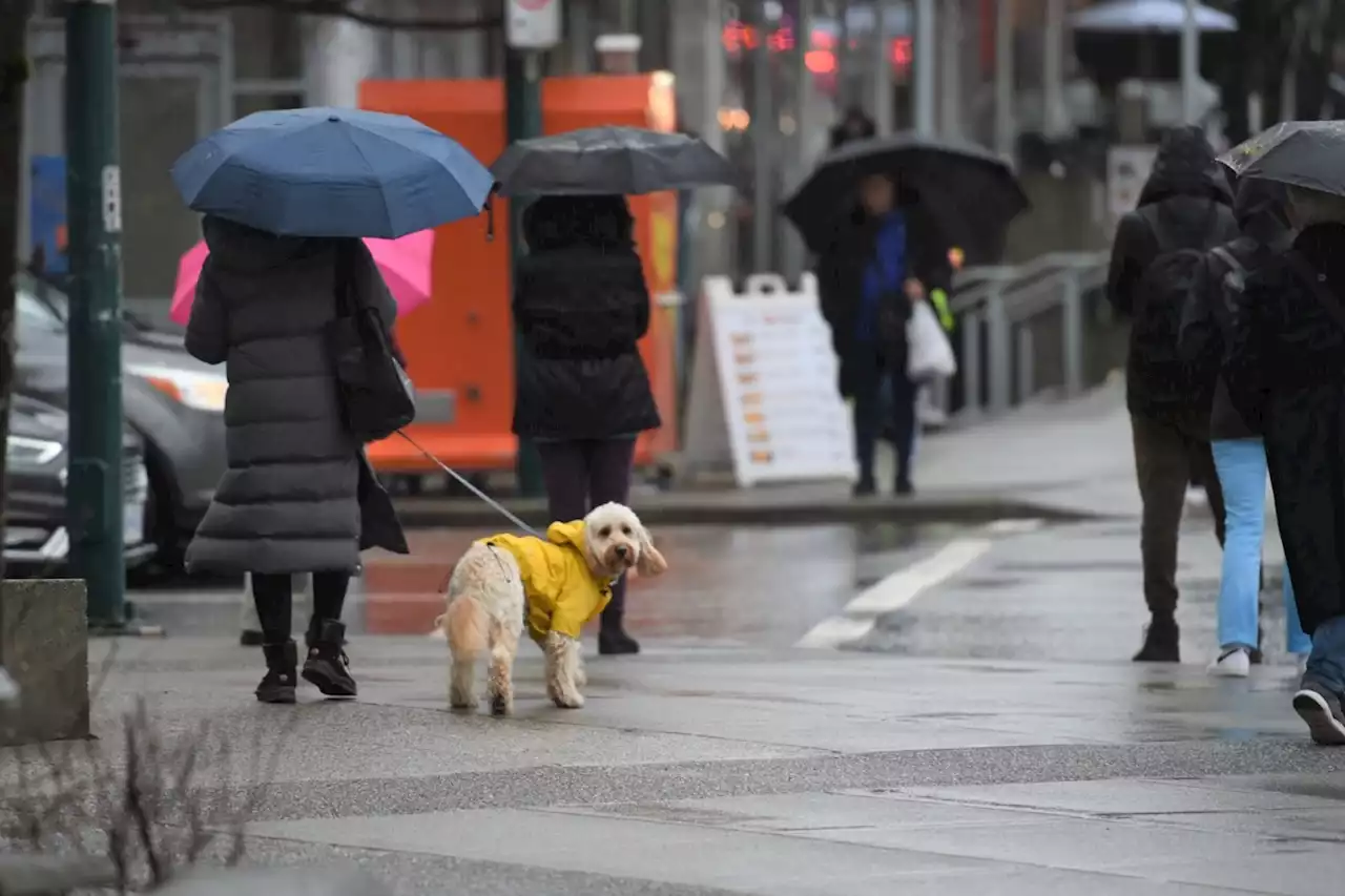 Rain to start, but precipitation will let up over coming week in Vancouver