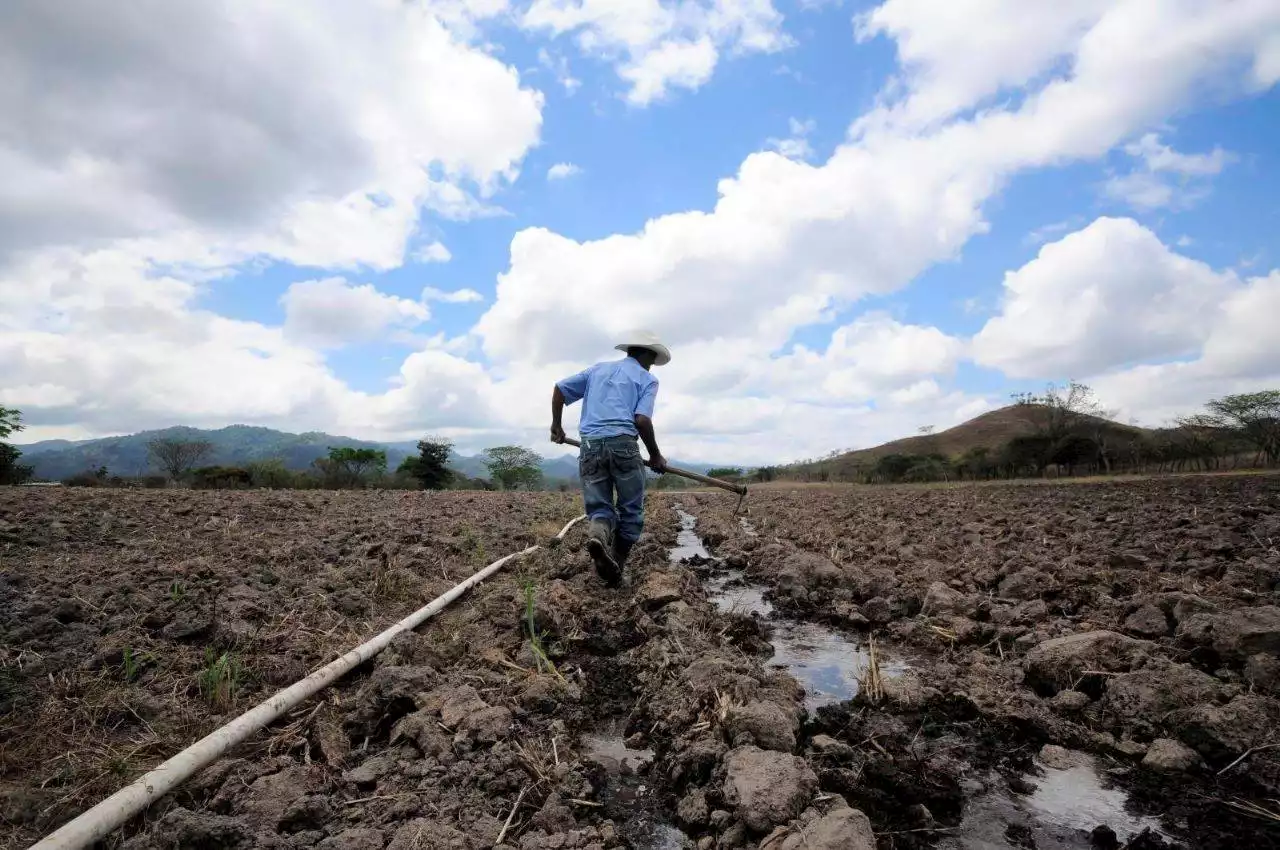 Lluvias causan estragos al agro y piscicultura del Huila